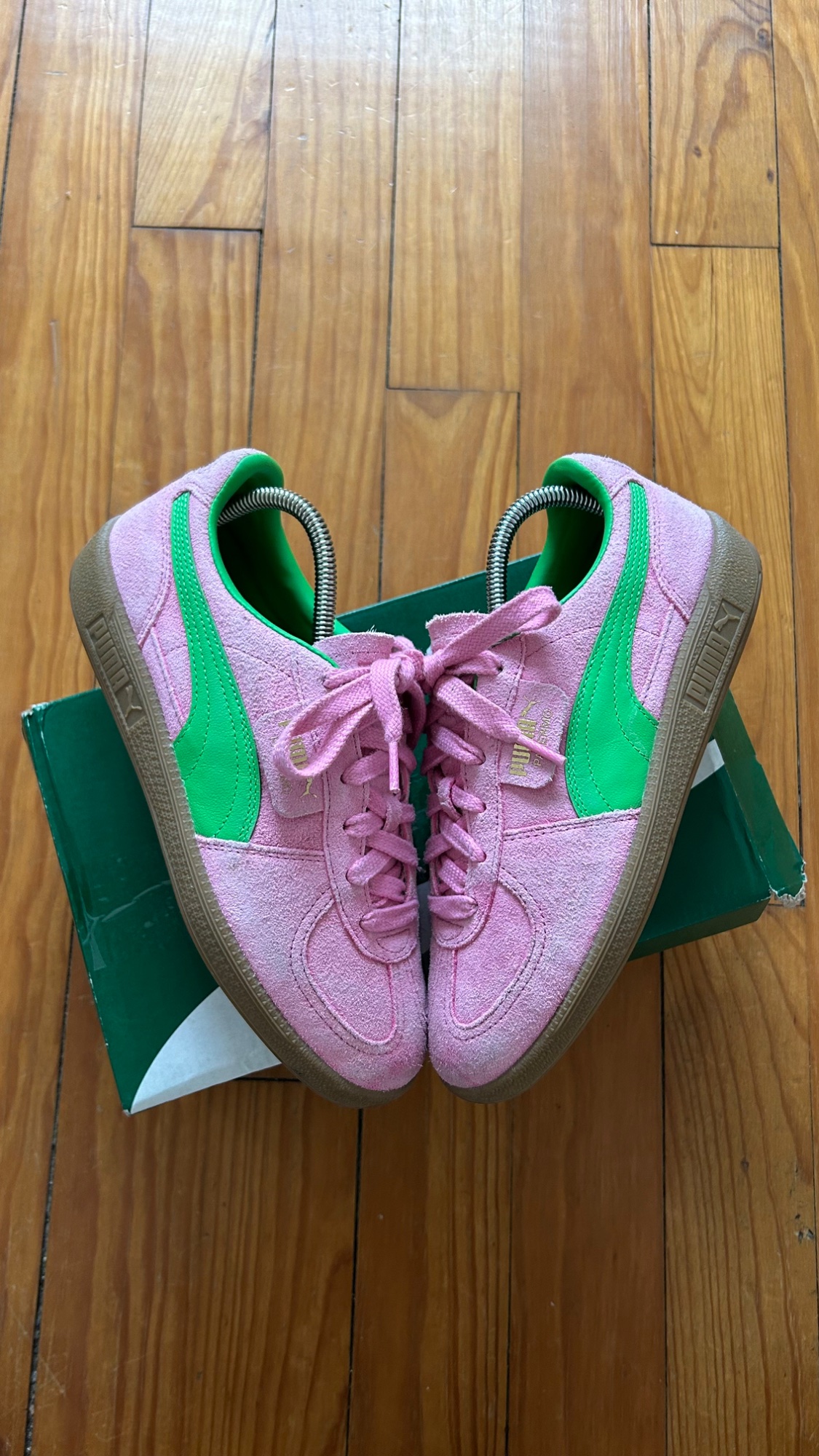 Puma Palermo